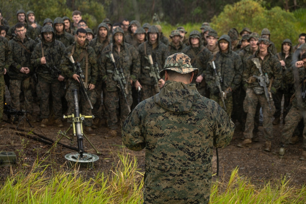 31st MEU | Animal Co. BLT 1/7 conducts live-fire platoon attack exercise