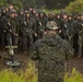 31st MEU | Animal Co. BLT 1/7 conducts live-fire platoon attack exercise
