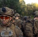 31st MEU | Animal Co. BLT 1/7 conducts live-fire platoon attack exercise