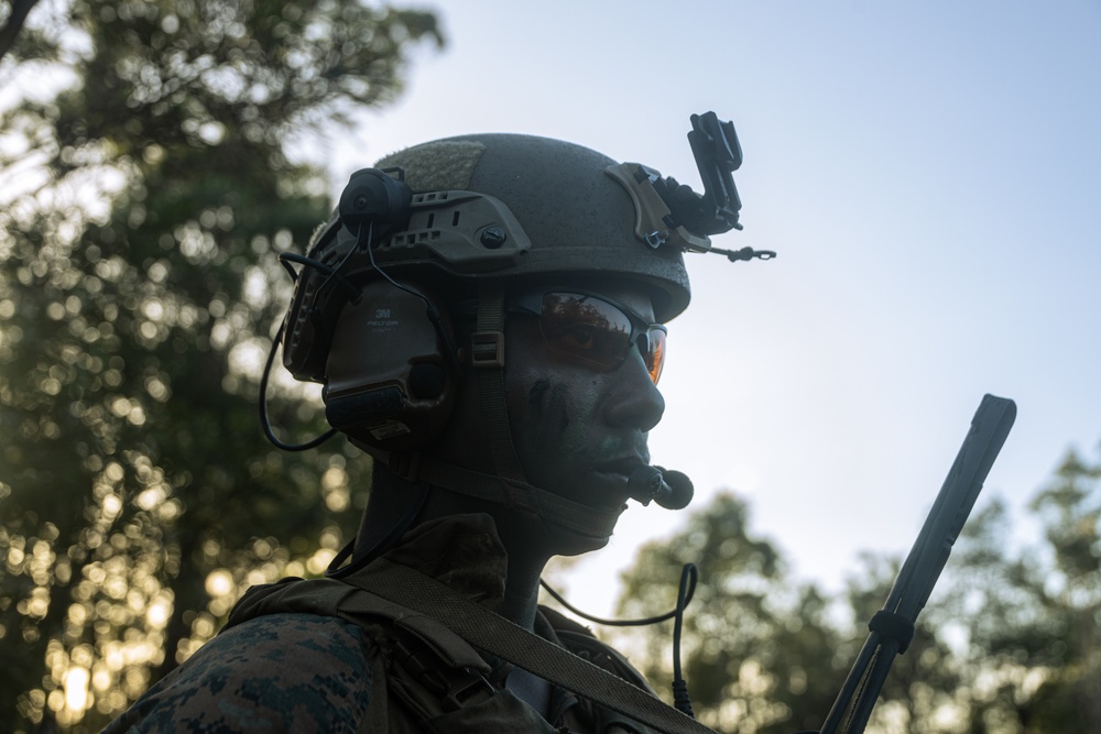 31st MEU | Animal Co. BLT 1/7 conducts live-fire platoon attack exercise