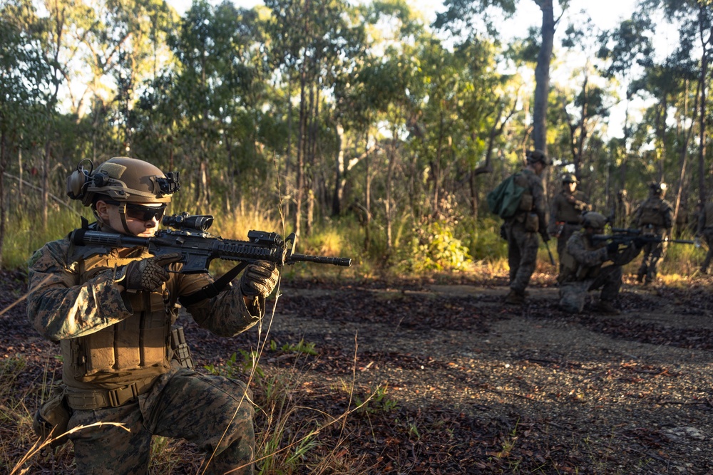 31st MEU | Animal Co. BLT 1/7 conducts live-fire platoon attack exercise