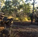 31st MEU | Animal Co. BLT 1/7 conducts live-fire platoon attack exercise