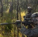 31st MEU | Animal Co. BLT 1/7 conducts live-fire platoon attack exercise