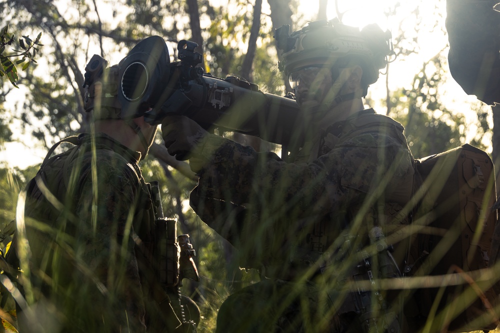 31st MEU | Animal Co. BLT 1/7 conducts live-fire platoon attack exercise
