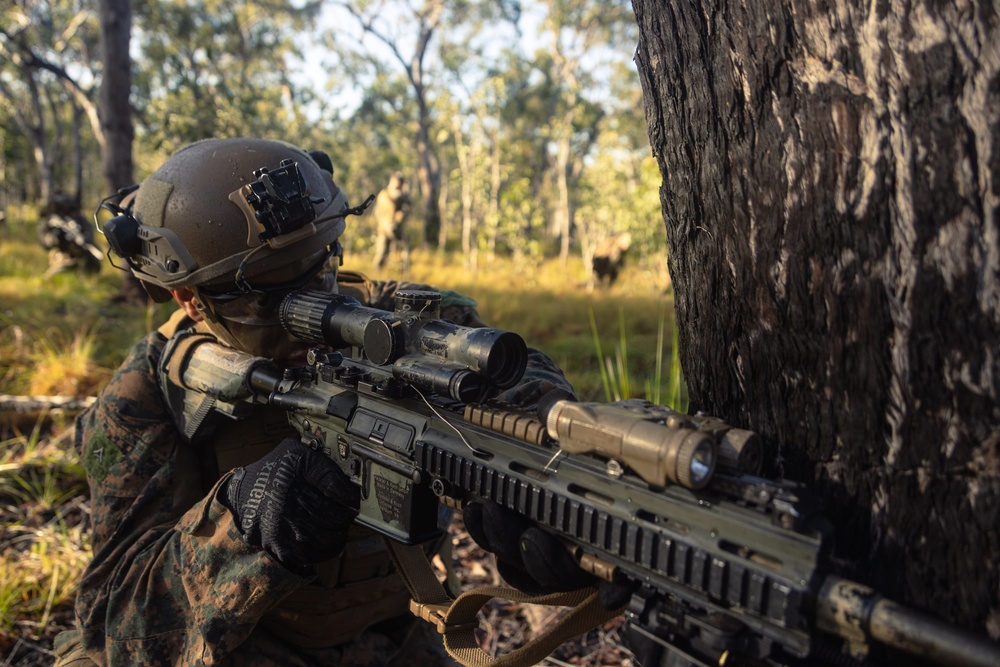 31st MEU | Animal Co. BLT 1/7 conducts live-fire platoon attack exercise