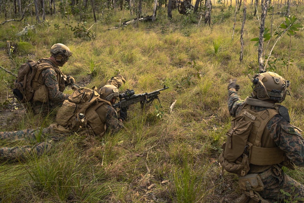 31st MEU | Animal Co. BLT 1/7 conducts live-fire platoon attack exercise