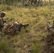 31st MEU | Animal Co. BLT 1/7 conducts live-fire platoon attack exercise