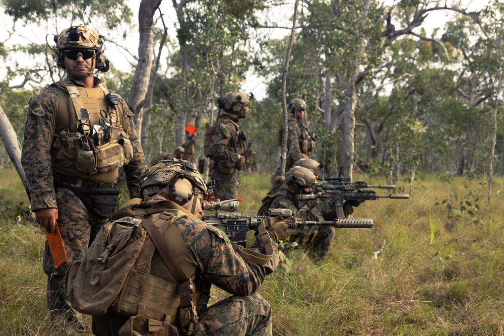 31st MEU | Animal Co. BLT 1/7 conducts live-fire platoon attack exercise
