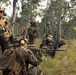 31st MEU | Animal Co. BLT 1/7 conducts live-fire platoon attack exercise