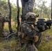 31st MEU | Animal Co. BLT 1/7 conducts live-fire platoon attack exercise