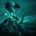 31st MEU | Animal Co. BLT 1/7 conducts simulated Night Helo Raid