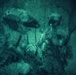 31st MEU | Animal Co. BLT 1/7 conducts simulated Night Helo Raid