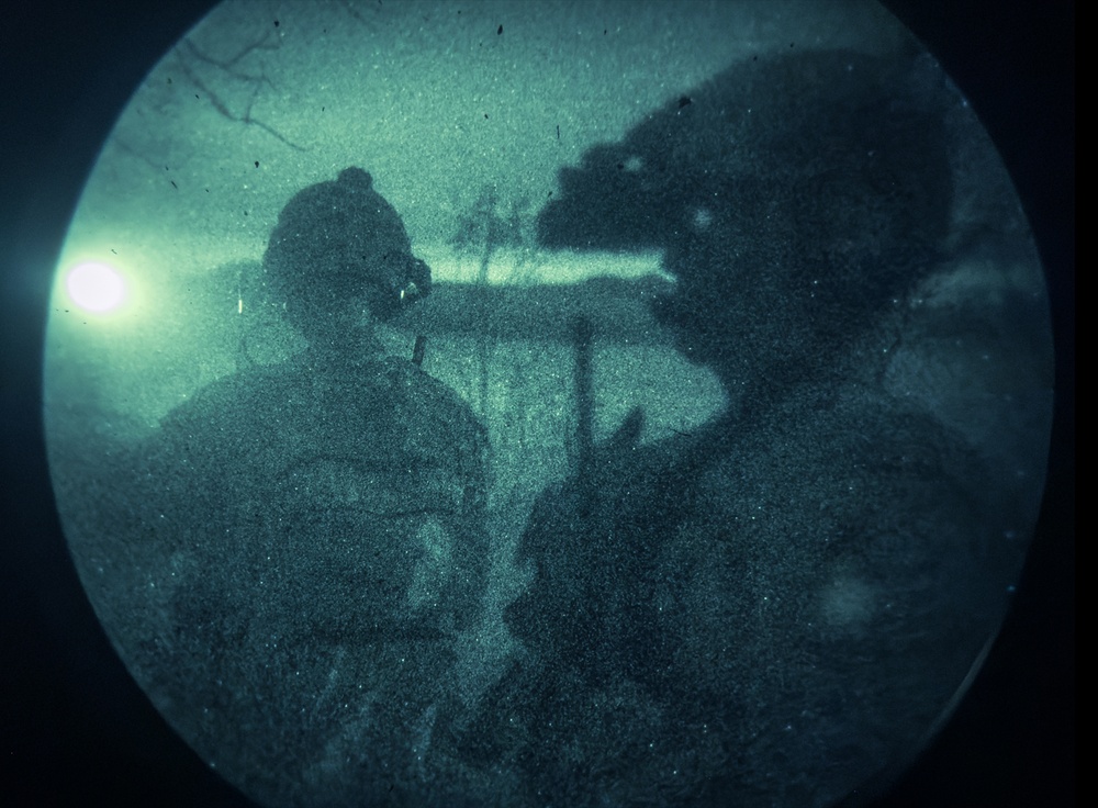 31st MEU | Animal Co. BLT 1/7 conducts simulated Night Helo Raid