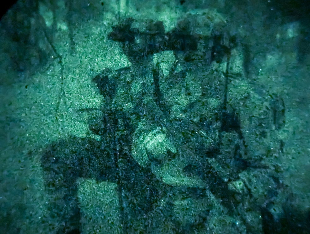 31st MEU | Animal Co. BLT 1/7 conducts simulated Night Helo Raid