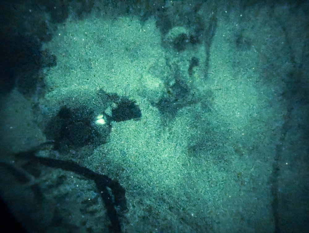 31st MEU | Animal Co. BLT 1/7 conducts simulated Night Helo Raid