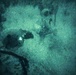 31st MEU | Animal Co. BLT 1/7 conducts simulated Night Helo Raid