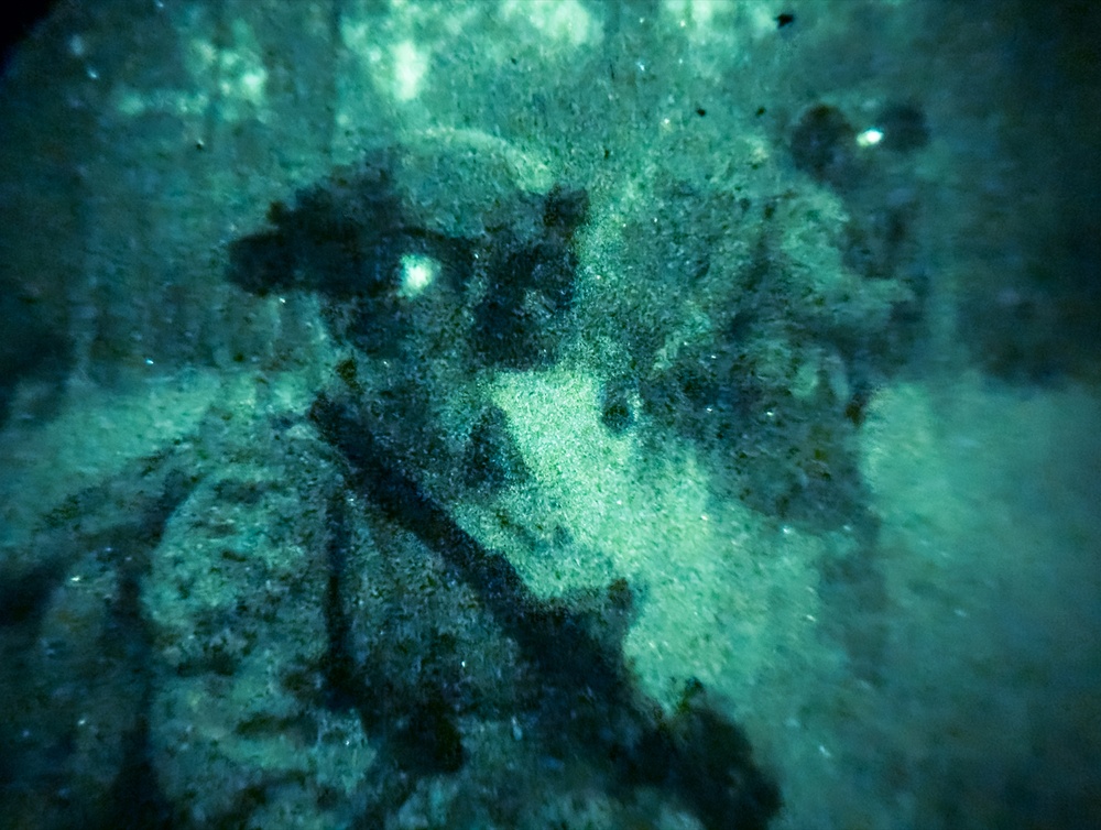 31st MEU | Animal Co. BLT 1/7 conducts simulated Night Helo Raid