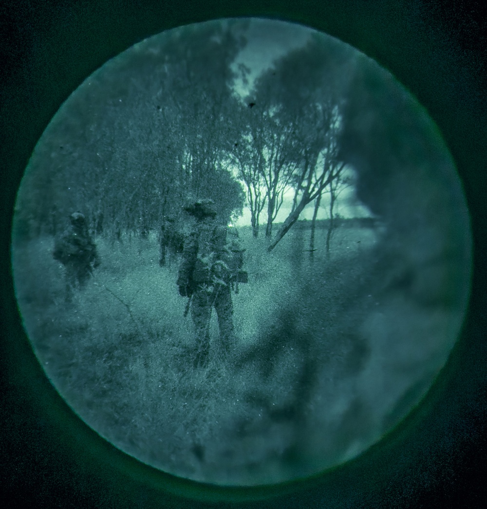 31st MEU | Animal Co. BLT 1/7 conducts simulated Night Helo Raid