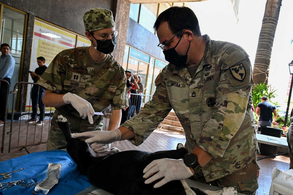 Continuing Promise 2025 provides veterinary services in Panama