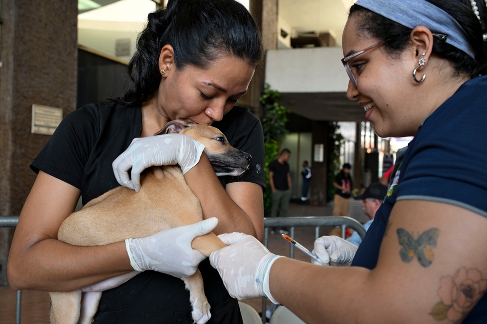 Continuing Promise 2025 provides veterinary services in Panama