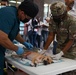 Continuing Promise 2025 provides veterinary services in Panama