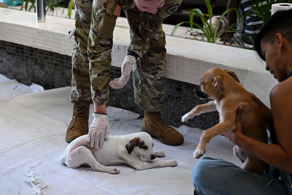 Continuing Promise 2025 provides veterinary services in Panama