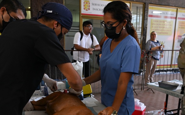 Continuing Promise 2025 provides veterinary services in Panama