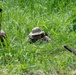 SENAN conducts FINEX with 2nd Brigade Marines in Panama