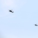 June 2025 Black Hawk training operations at Fort McCoy