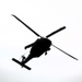 June 2025 Black Hawk training operations at Fort McCoy