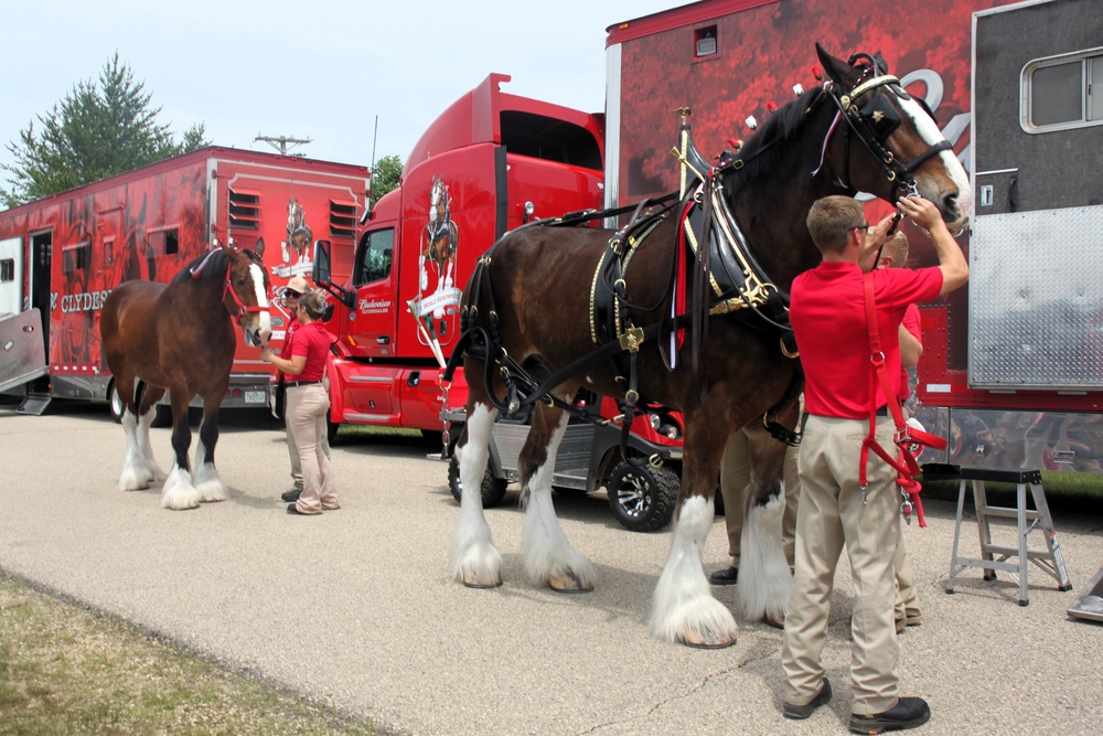 Hundreds attend Clydesdales visit to Fort McCoy; parade held at Pine View Campground