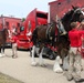 Hundreds attend Clydesdales visit to Fort McCoy; parade held at Pine View Campground