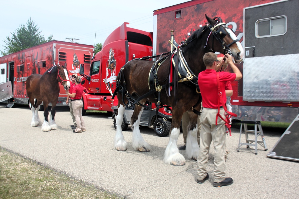 Hundreds attend Clydesdales visit to Fort McCoy; parade held at Pine View Campground