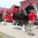 Hundreds attend Clydesdales visit to Fort McCoy; parade held at Pine View Campground