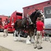Hundreds attend Clydesdales visit to Fort McCoy; parade held at Pine View Campground