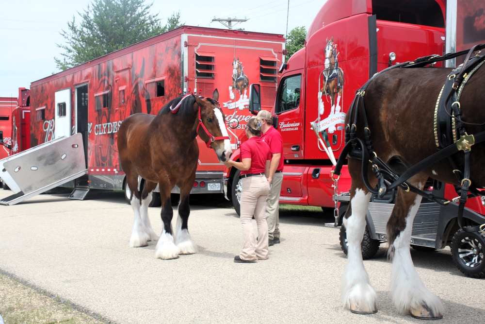 Hundreds attend Clydesdales visit to Fort McCoy; parade held at Pine View Campground