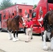 Hundreds attend Clydesdales visit to Fort McCoy; parade held at Pine View Campground