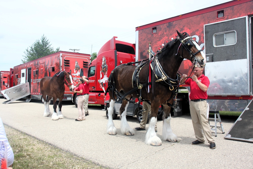 Hundreds attend Clydesdales visit to Fort McCoy; parade held at Pine View Campground