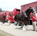 Hundreds attend Clydesdales visit to Fort McCoy; parade held at Pine View Campground