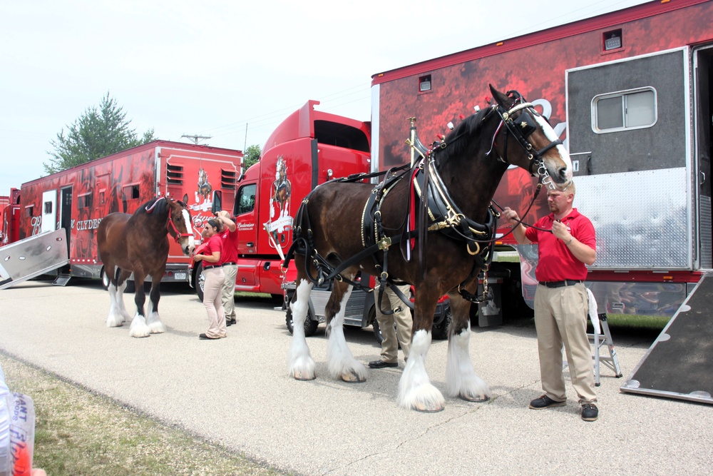 Hundreds attend Clydesdales visit to Fort McCoy; parade held at Pine View Campground