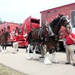 Hundreds attend Clydesdales visit to Fort McCoy; parade held at Pine View Campground