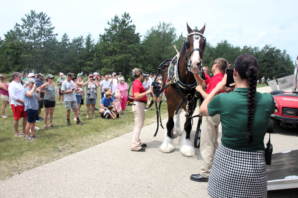 Hundreds attend Clydesdales visit to Fort McCoy; parade held at Pine View Campground