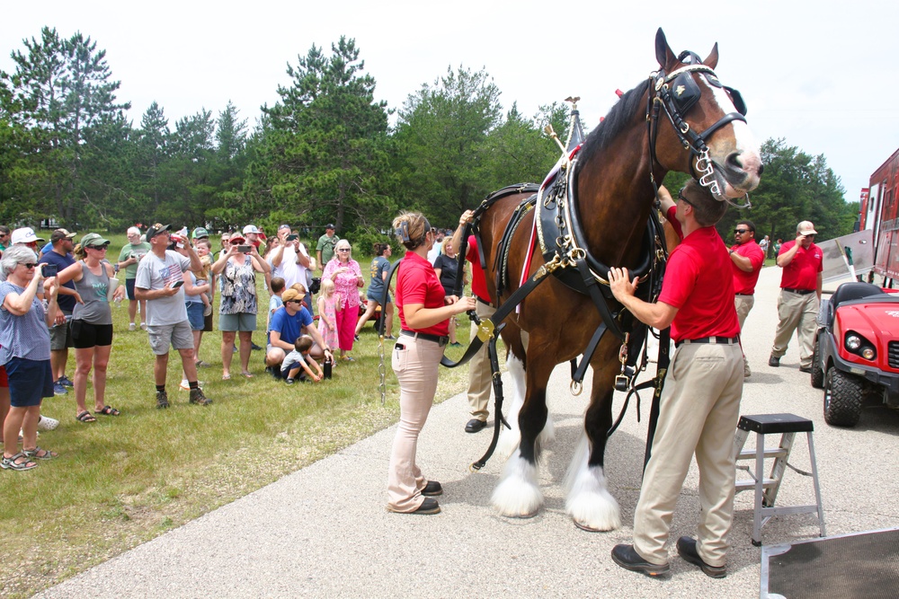 Hundreds attend Clydesdales visit to Fort McCoy; parade held at Pine View Campground