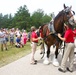 Hundreds attend Clydesdales visit to Fort McCoy; parade held at Pine View Campground