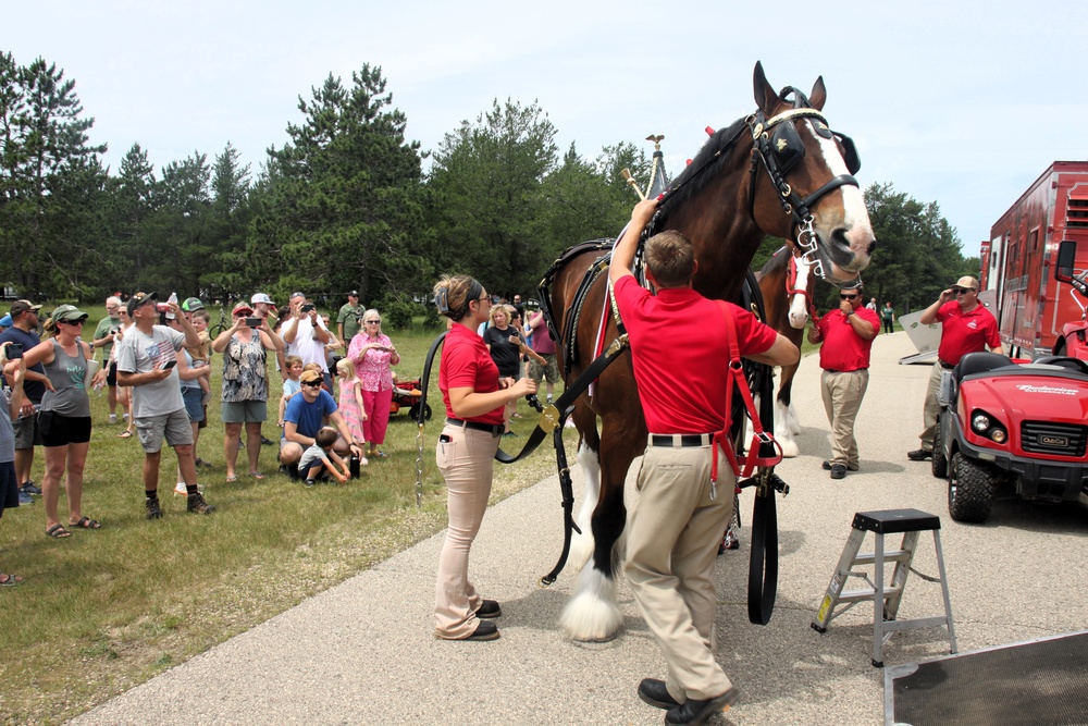 Hundreds attend Clydesdales visit to Fort McCoy; parade held at Pine View Campground