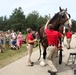 Hundreds attend Clydesdales visit to Fort McCoy; parade held at Pine View Campground