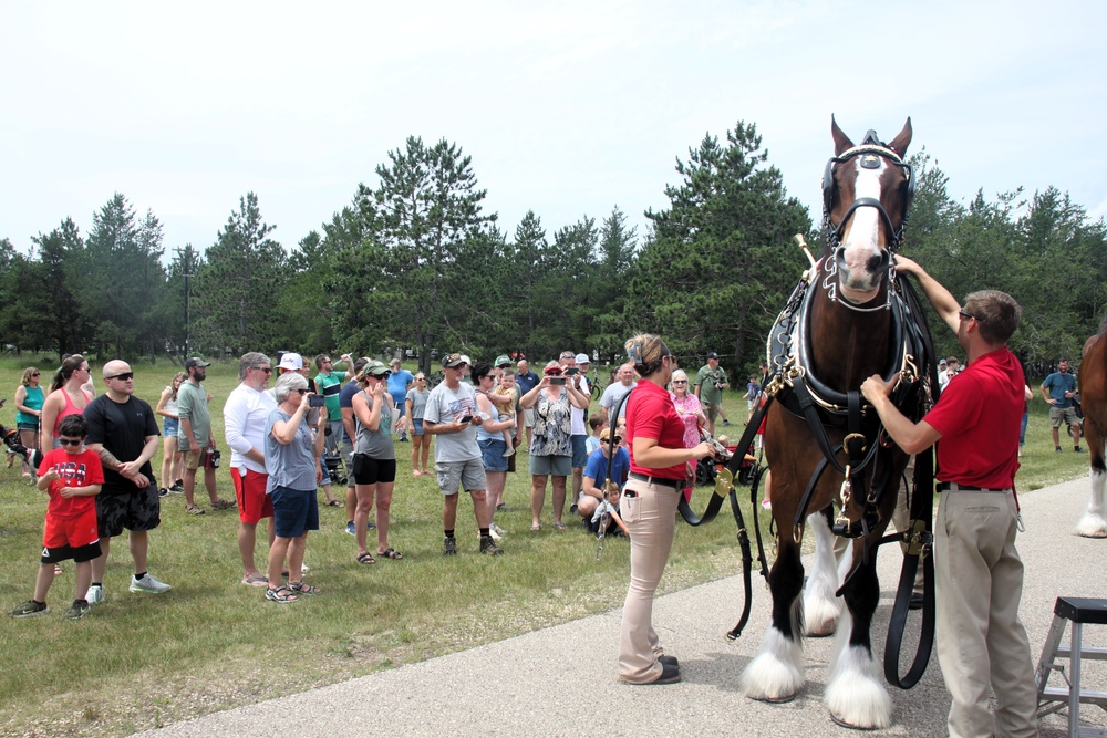 Hundreds attend Clydesdales visit to Fort McCoy; parade held at Pine View Campground
