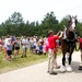 Hundreds attend Clydesdales visit to Fort McCoy; parade held at Pine View Campground