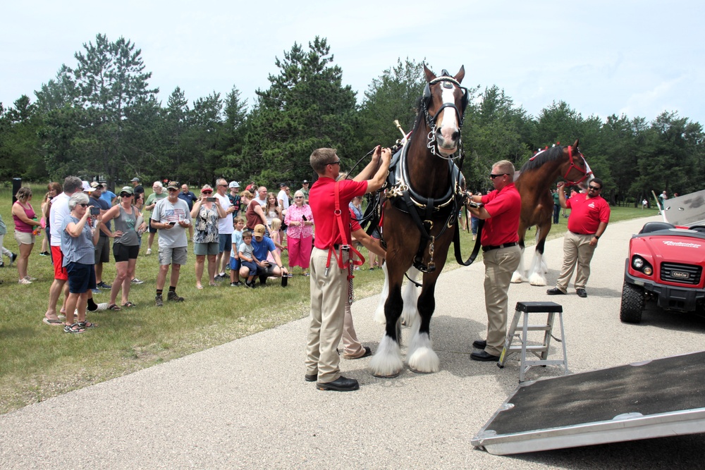 Hundreds attend Clydesdales visit to Fort McCoy; parade held at Pine View Campground