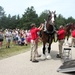 Hundreds attend Clydesdales visit to Fort McCoy; parade held at Pine View Campground